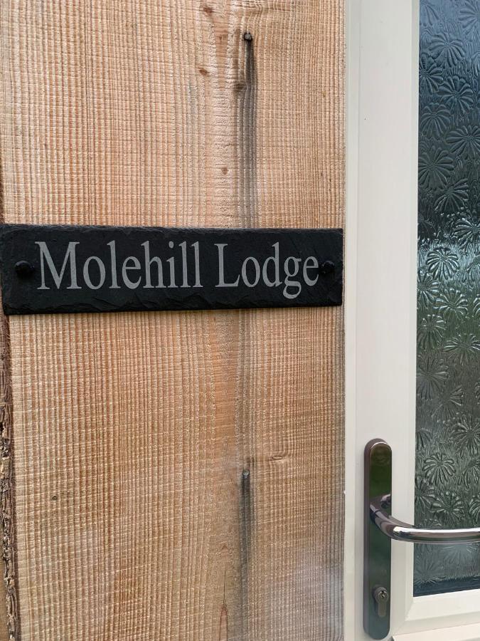 Molehill Lodge Swansea Exterior foto