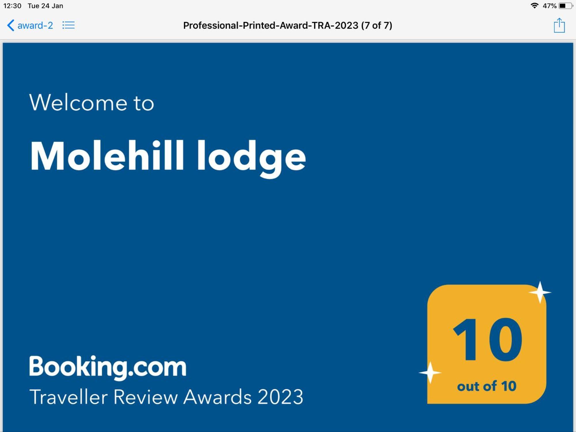 Molehill Lodge Swansea Exterior foto
